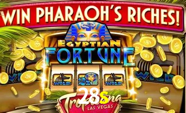 Descubra a Essência do 28s: Nossa História e Compromissos